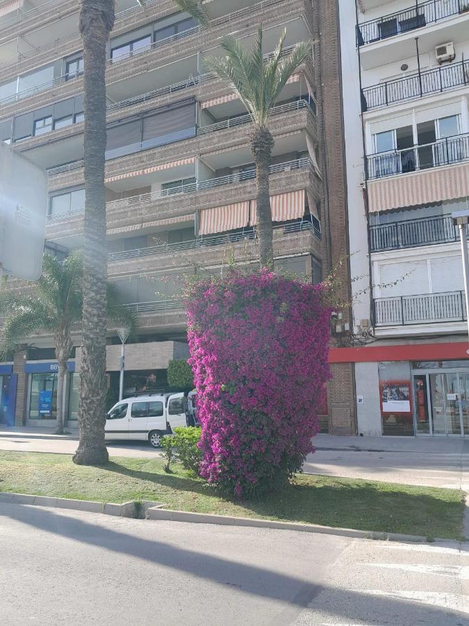 Stylowy Apartament Harmonia Playa Del Cura, Hiszpania Apartamento Torrevieja Exterior foto